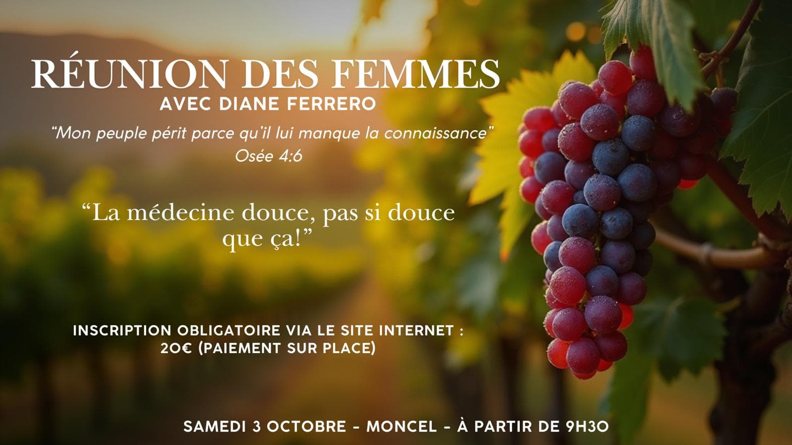 Réunion des femmes avec Diane Ferrero